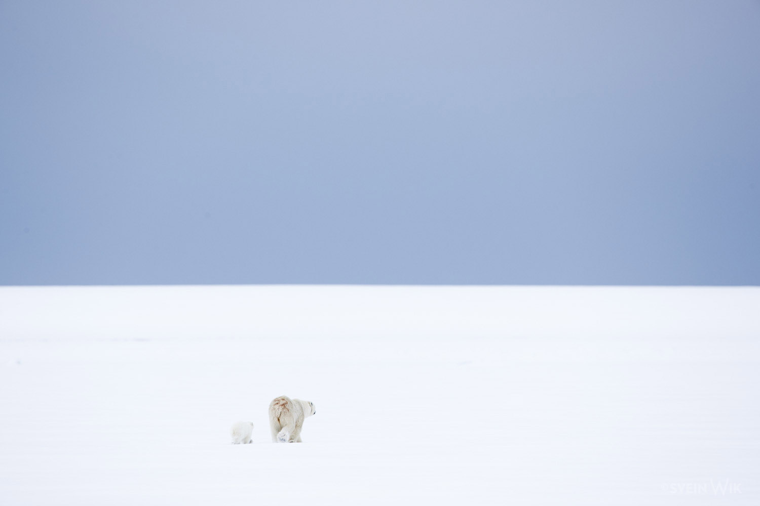 arctic expedition