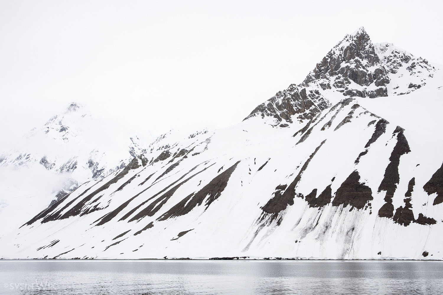 Svalbard MS Freya 2018