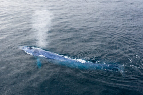 svalbard photography expeditions