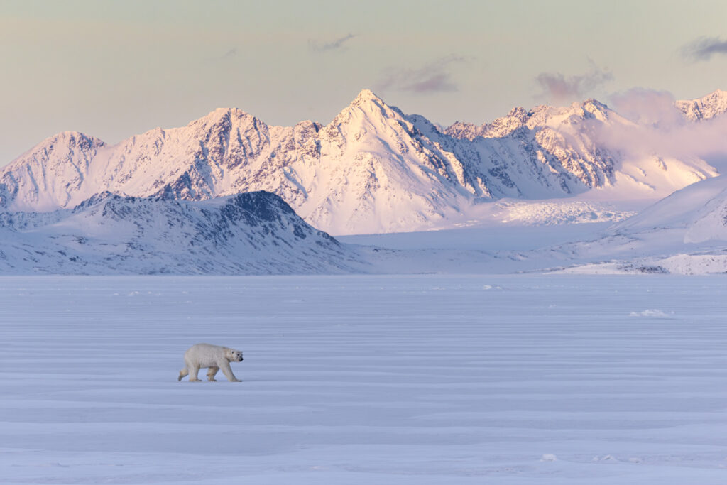 svalbard winter photography