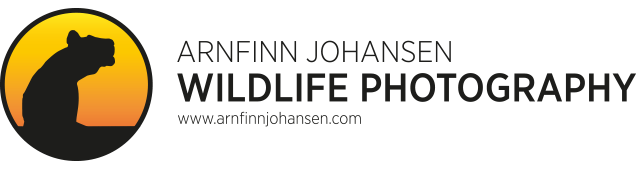 Arnfinn Johansen - Wildlife Photography