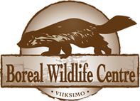 Boreal Wildlife Centre