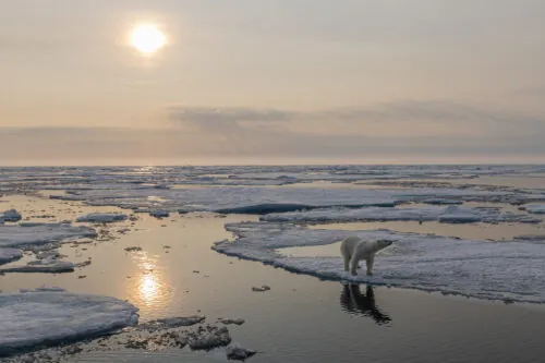 svalbard photo tours