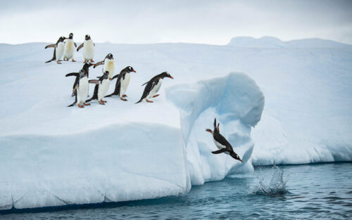 antarctica photography expedition