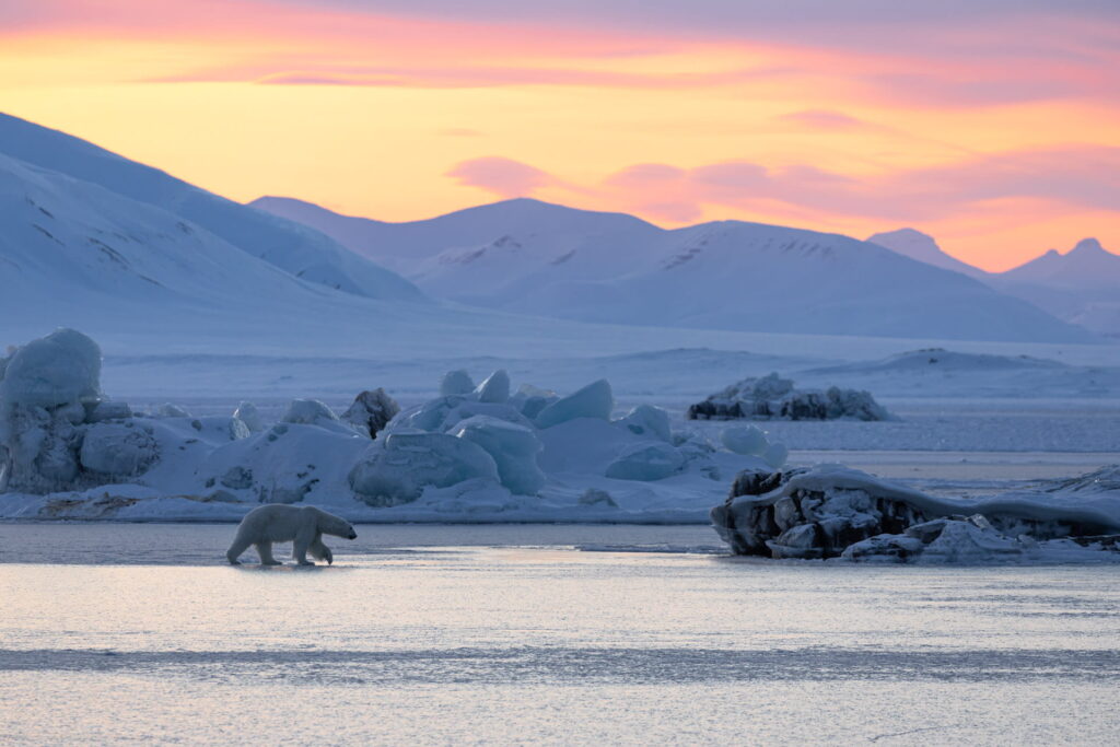 svalbard winter landscapes