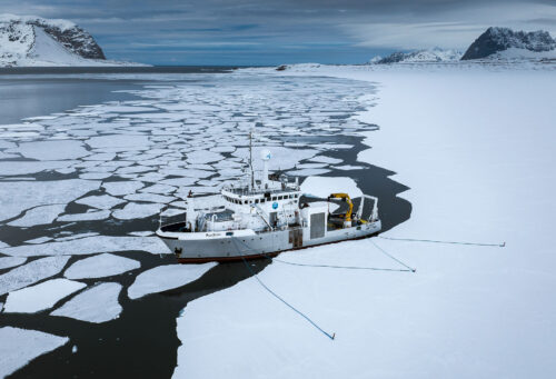 Polar X