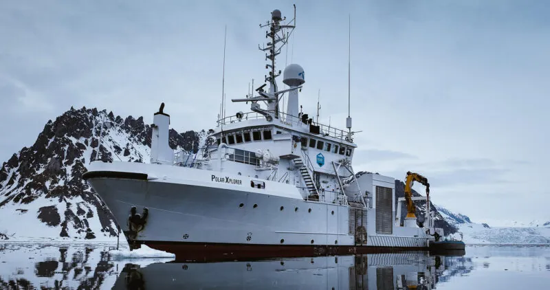 10 Fascinating Arctic Animals You'll Encounter on Expedition Cruises