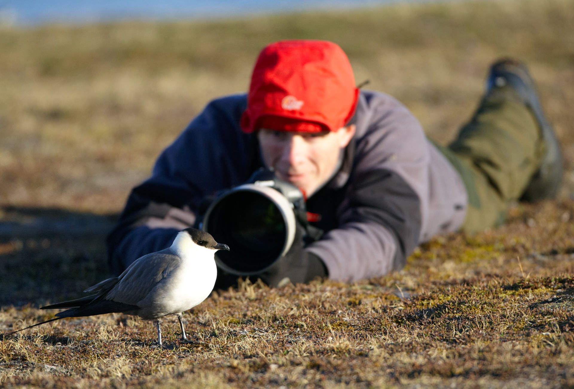 Photographic opportunities on Svalbard