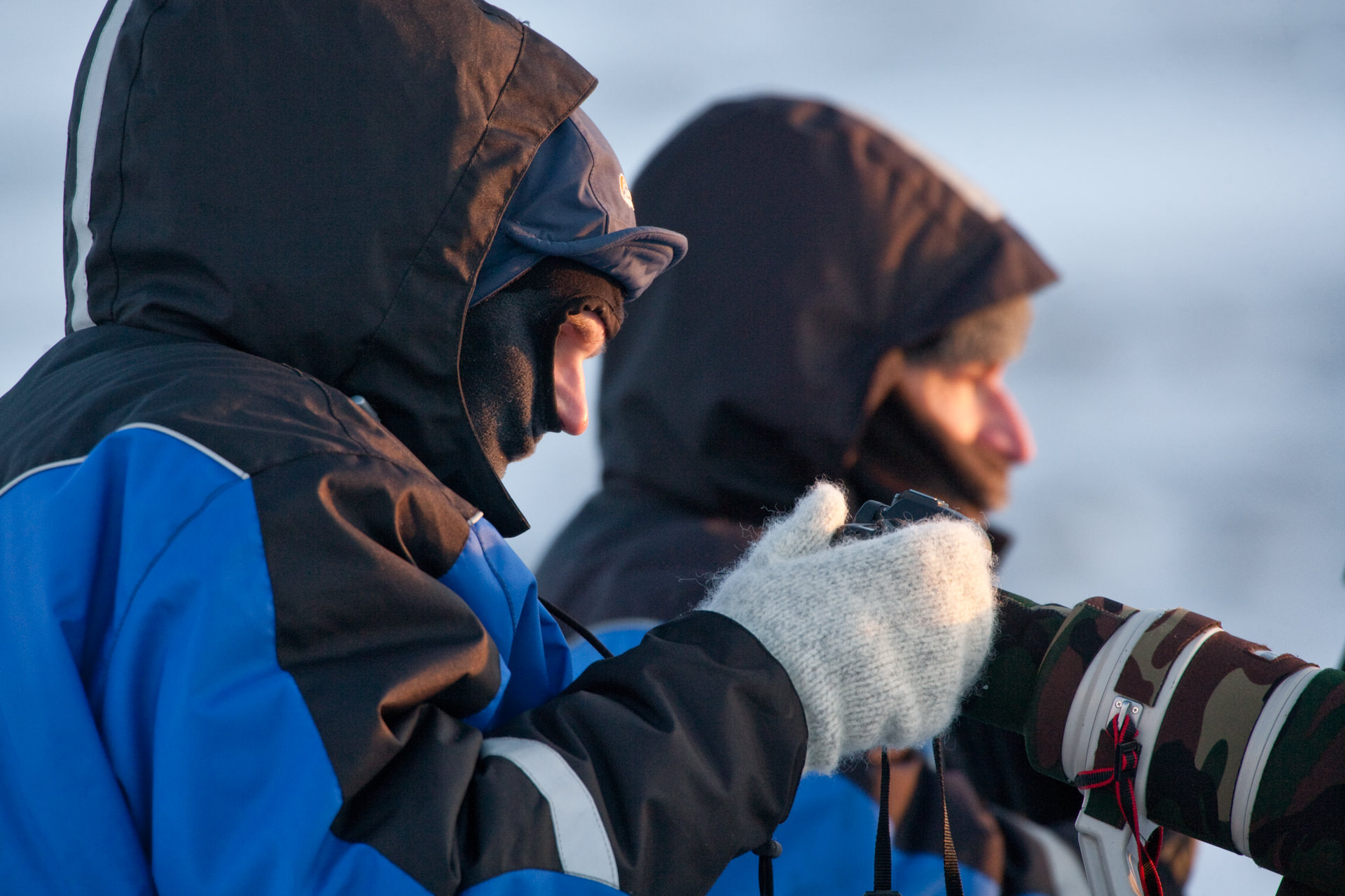 photographic opportunities on Svalbard