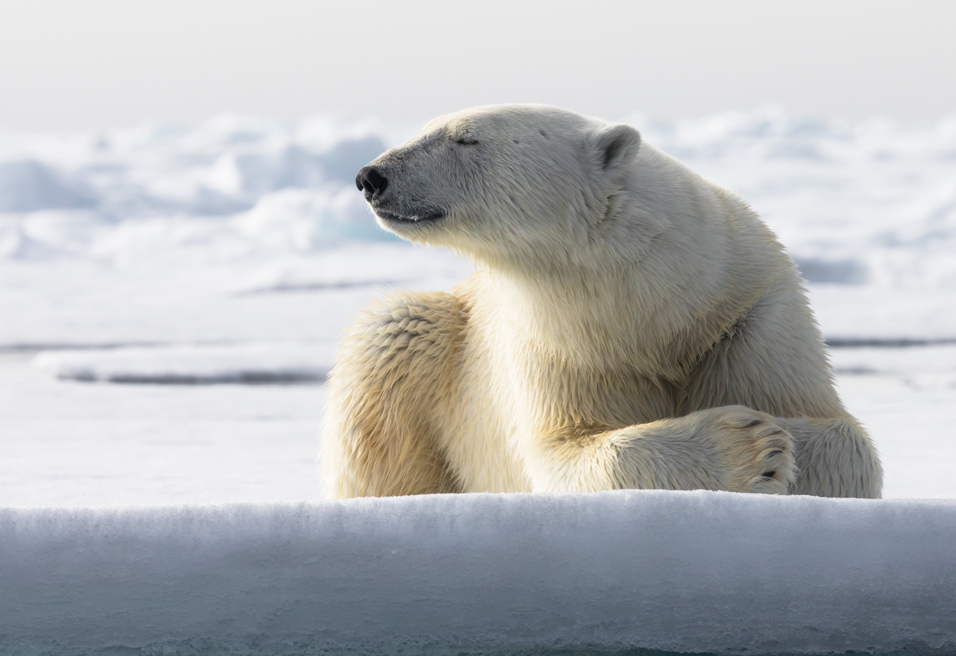 Photographic opportunities on Svalbard