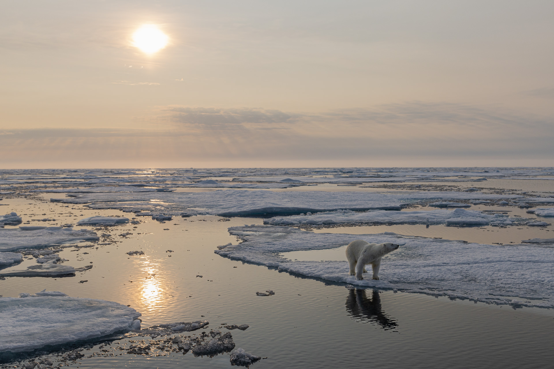 Photographic opportunities on Svalbard