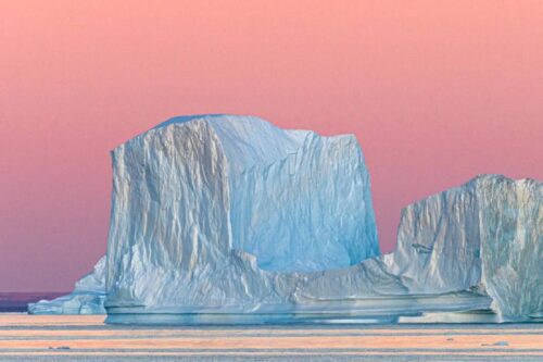 Arctic Wildlife Tours Explained- What to See, When to Go and What to Expect - Glacier