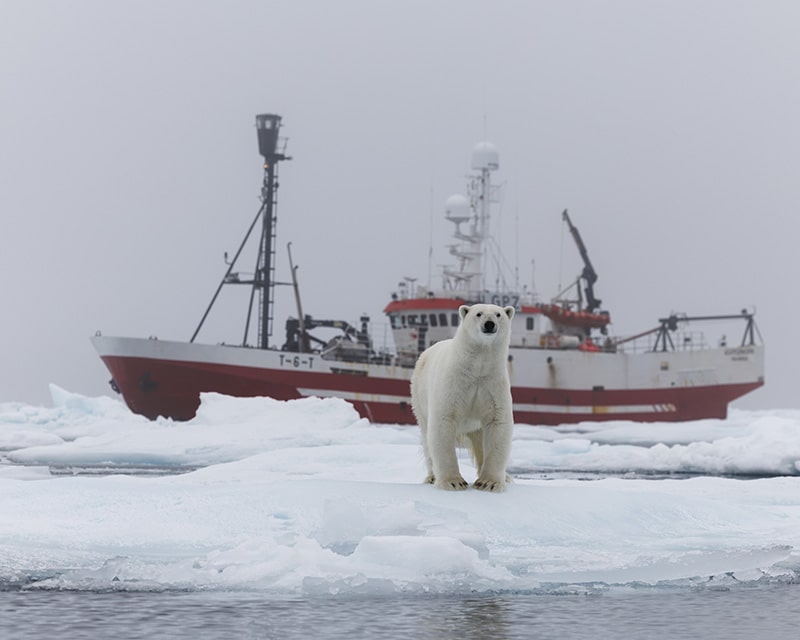 Arctic-Photography-Tours-Felix-Svalbard