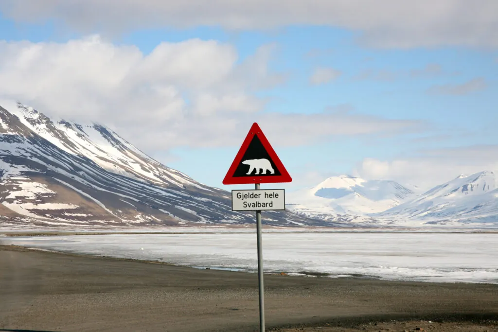 Wildlife Safety and Respect Our Approach to Vulnerable Arctic Wildlife Encounters